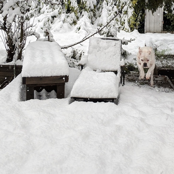 Click Here for Details - Picture 4 of 6